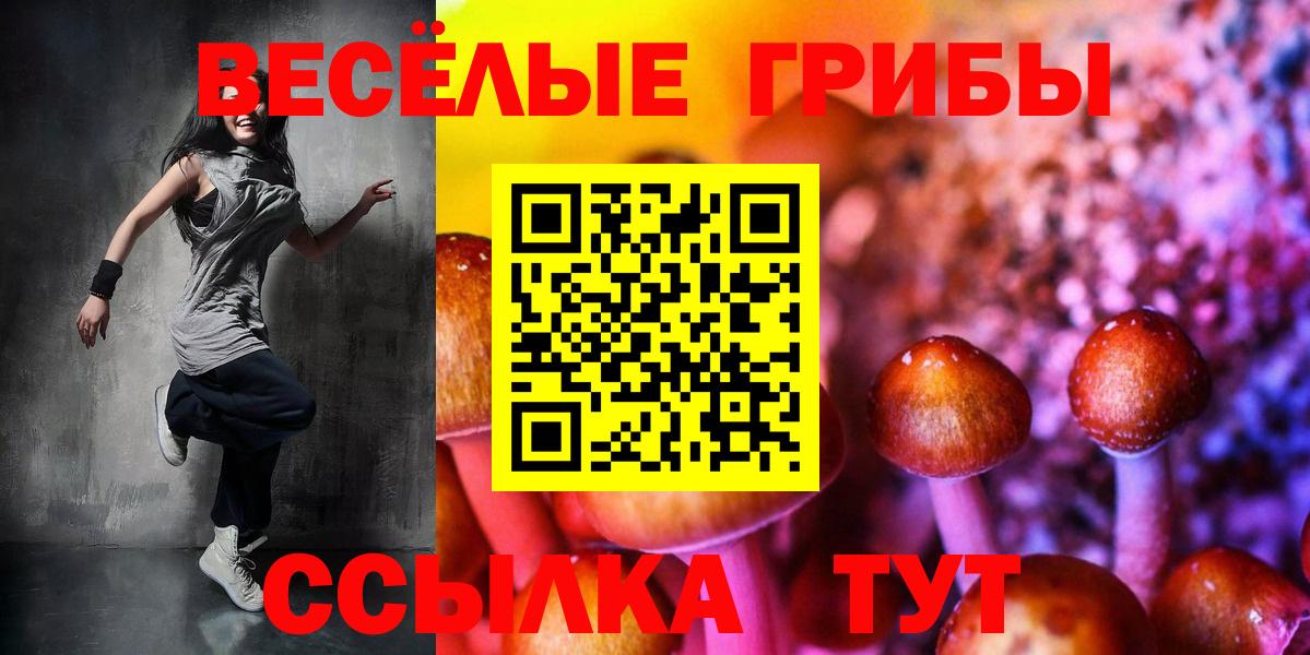 Псилоцибиновые грибы Magic Shrooms  Вход с VPN  Кудымкар 
